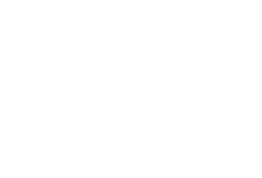 Lenscer Visivo brand emblem logo representing creative synergy
