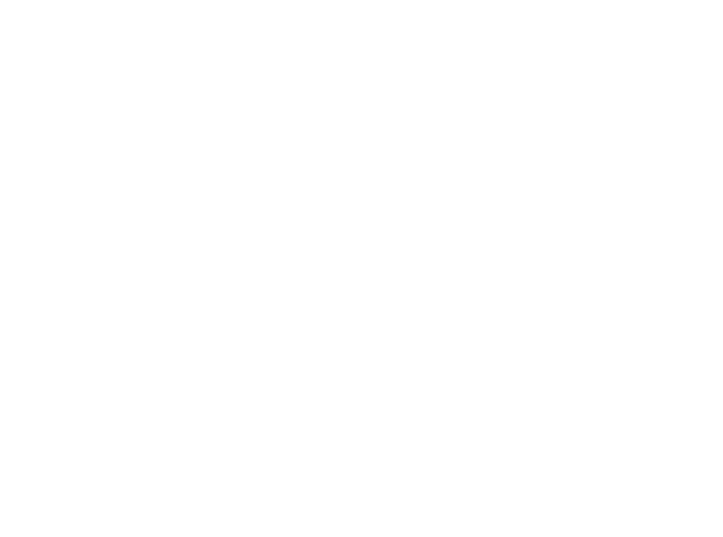 Lenscer Visivo Brand Emblem